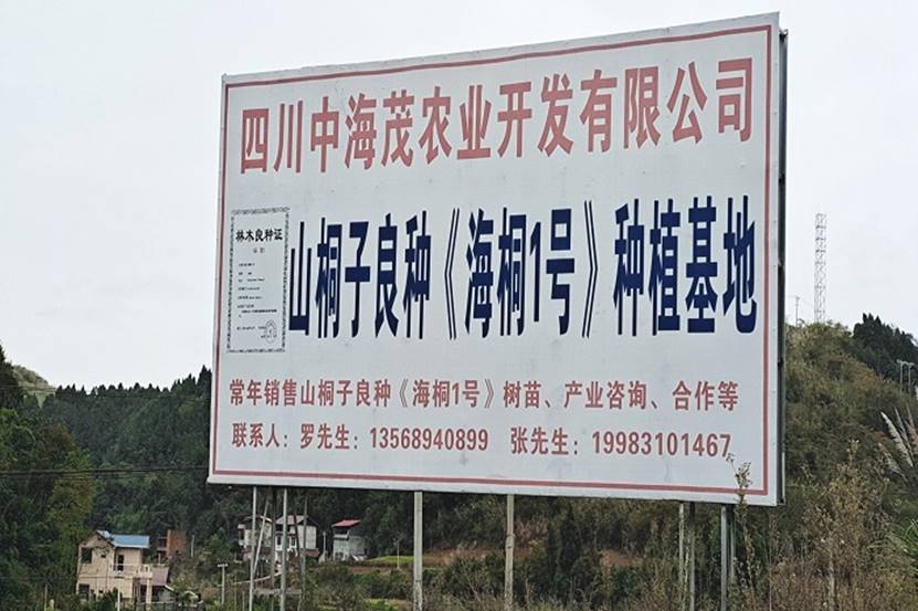 经济管理学院组织开展大创项目实地调研活动
