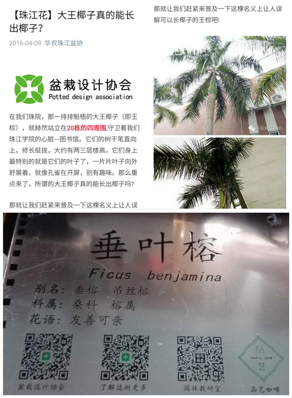 1_副本_副本.jpg