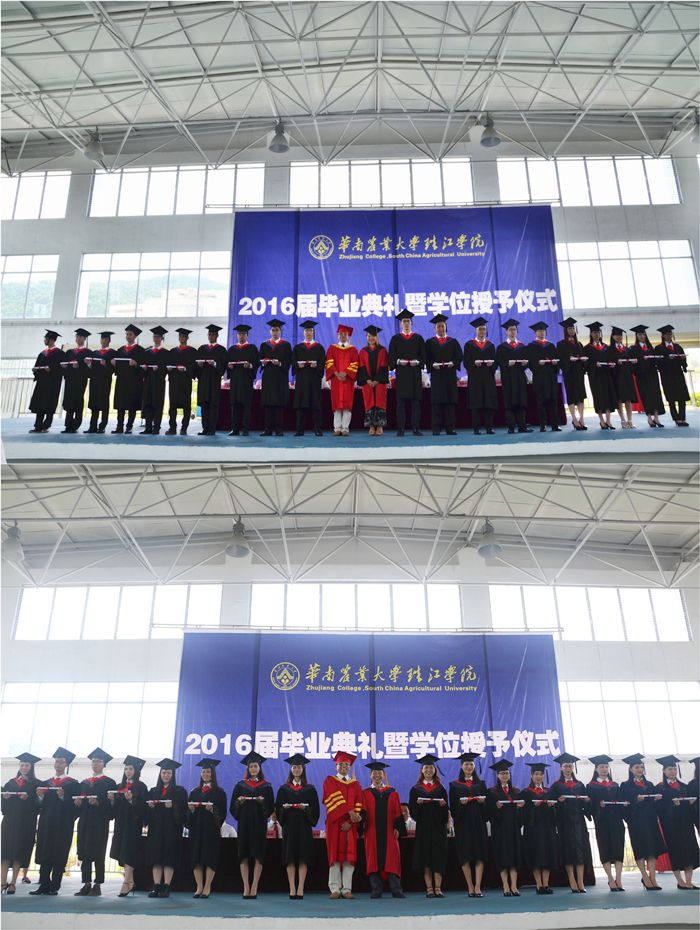 信息工程系与中文系.jpg