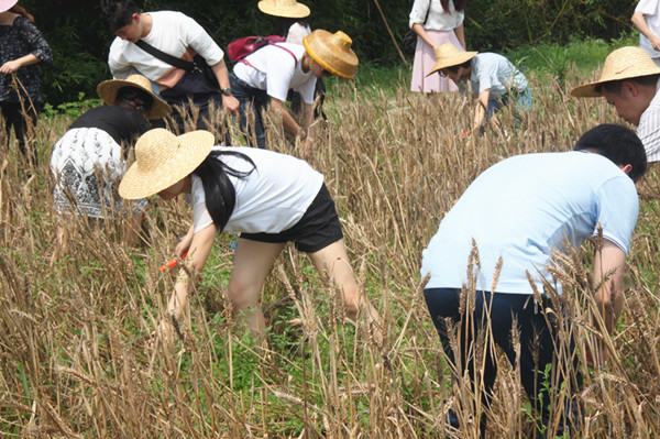 3青春同游.jpg