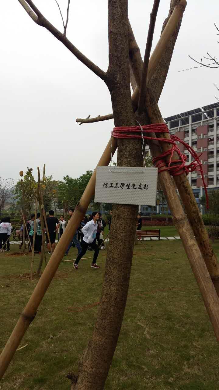 QQ图片20160331151154.jpg