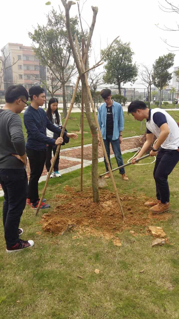 QQ图片20160331151159.jpg