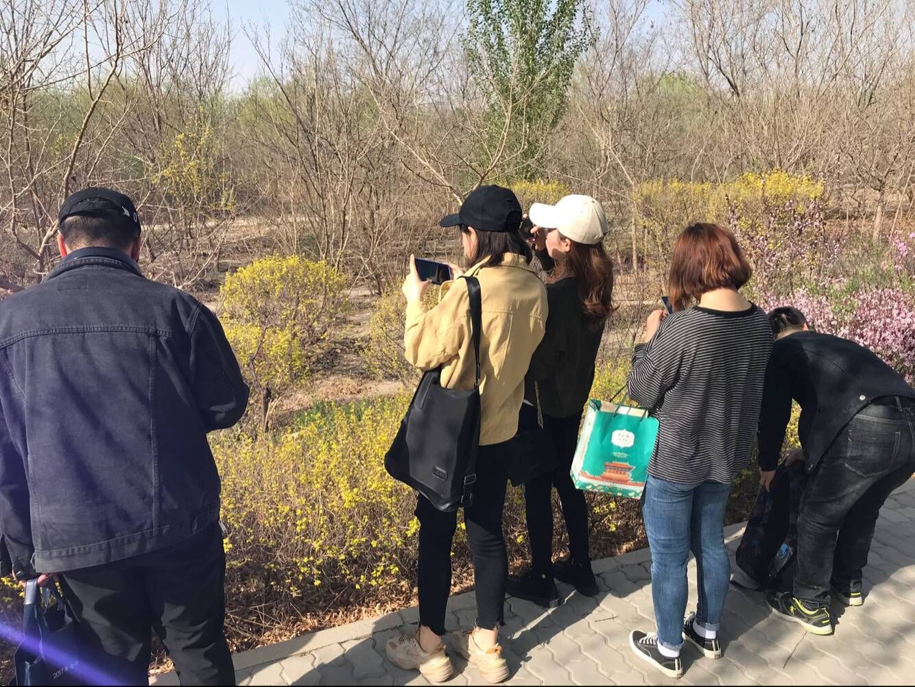 QQ图片20190418215227.jpg