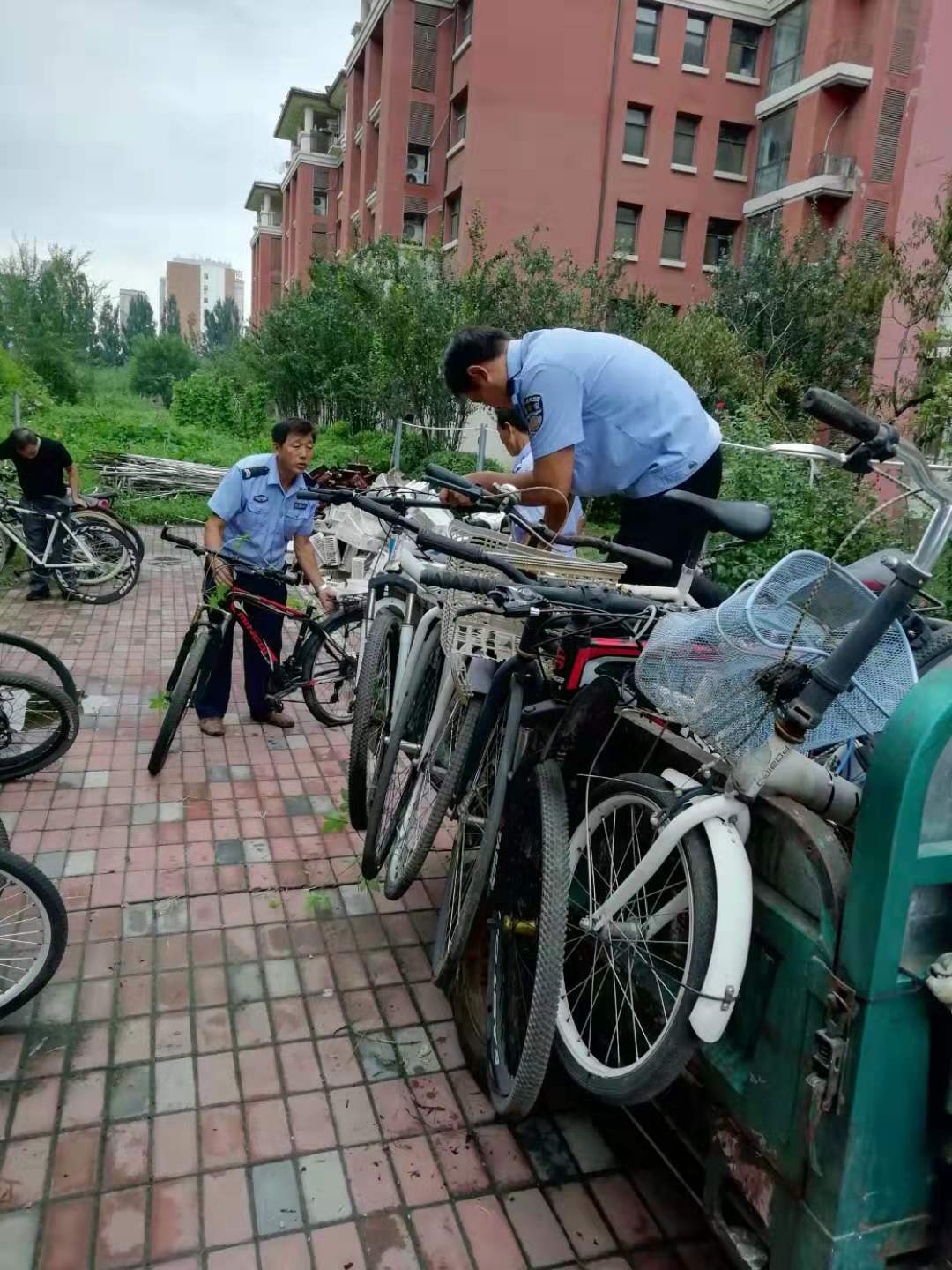 zixingche.jpg