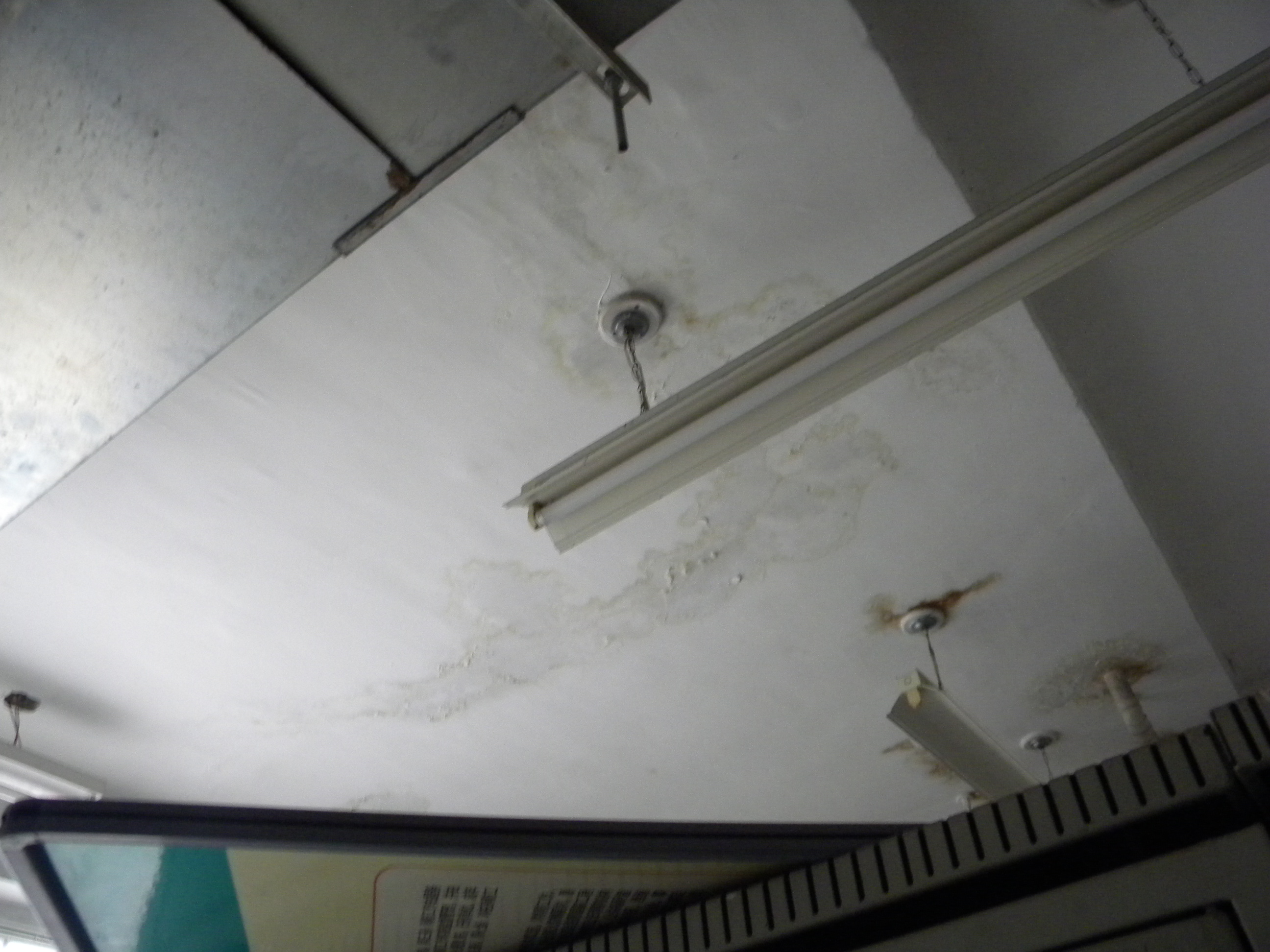 DSCN2378.JPG