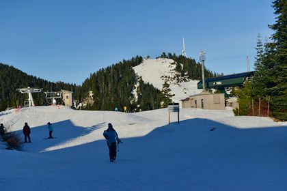 松鸡雪山景色 (3)_副本.jpg