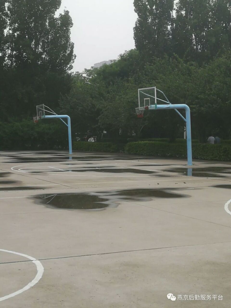 QQ图片20180523093306.jpg