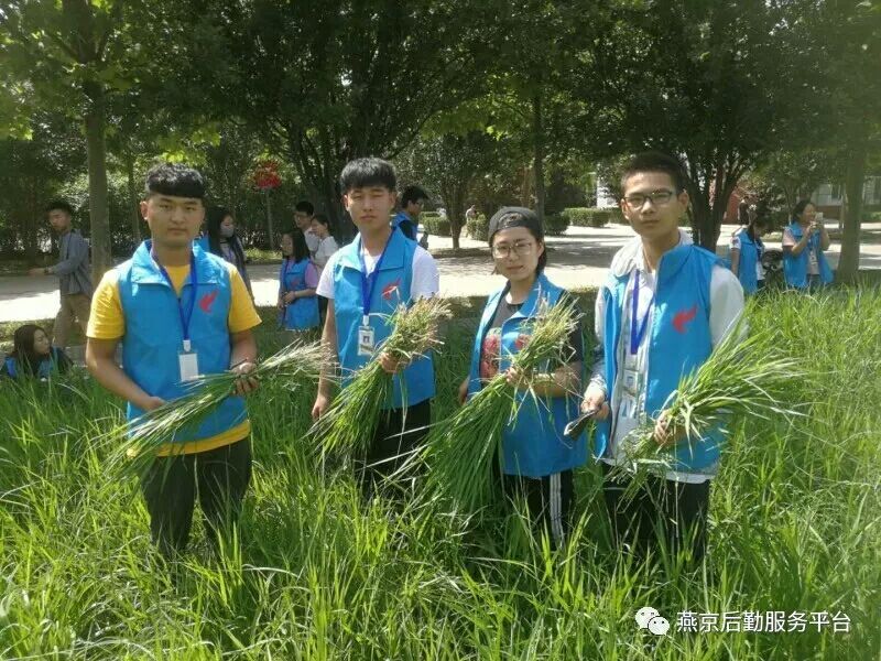 QQ图片20180524101705.jpg