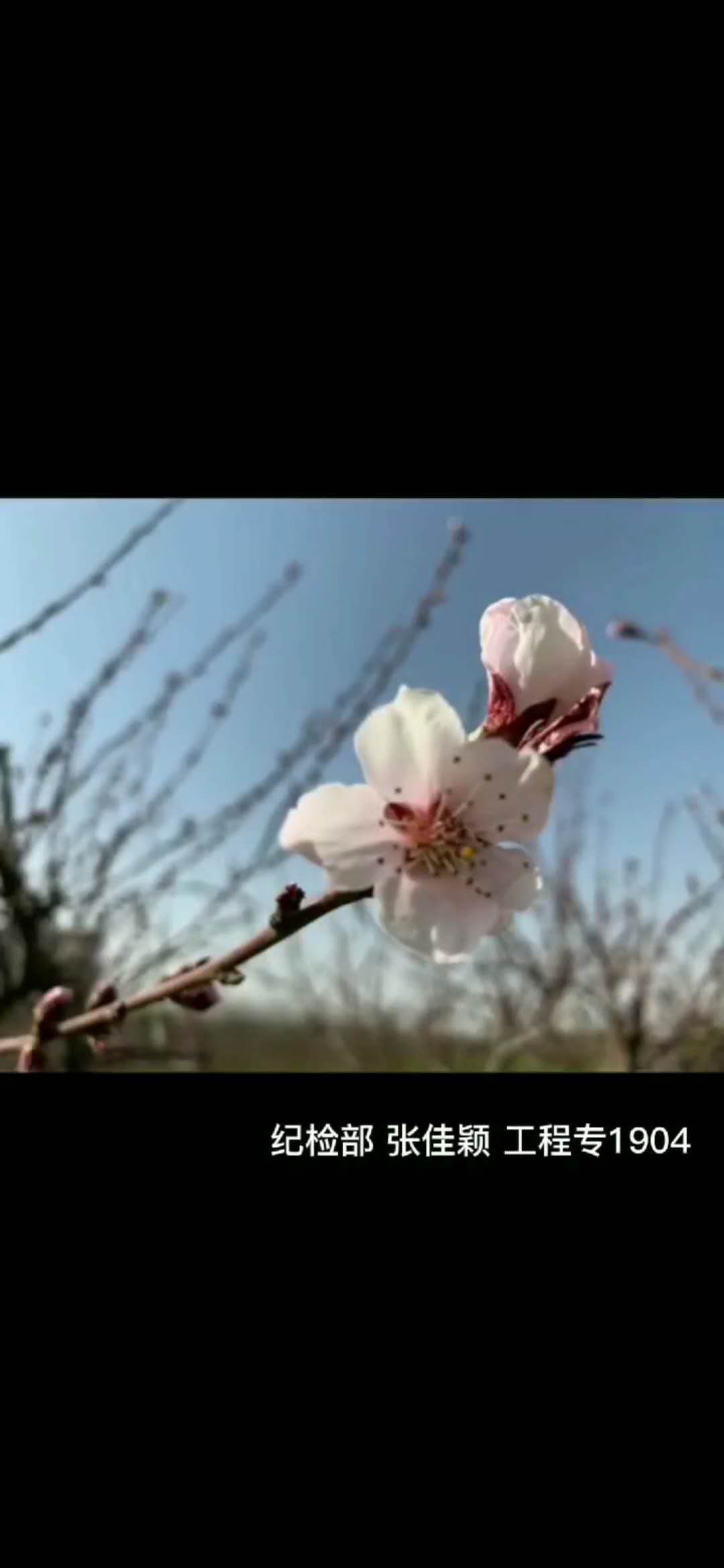 微信图片_20200628211408.jpg
