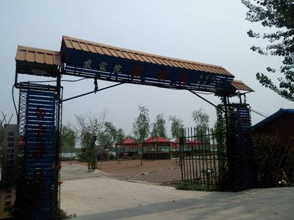 05.jpg